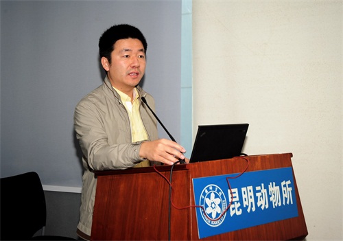 电子游戏app下载安装