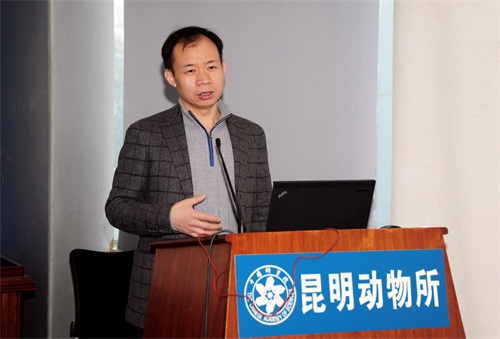 电子游戏app下载安装