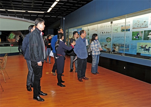 电子游戏app下载安装