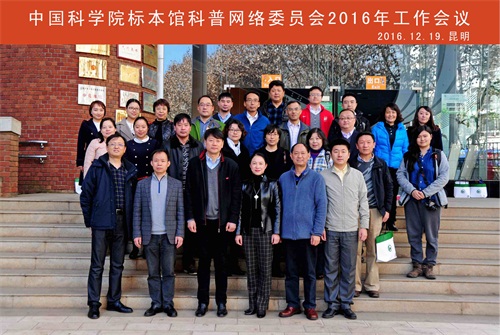 电子游戏app下载安装