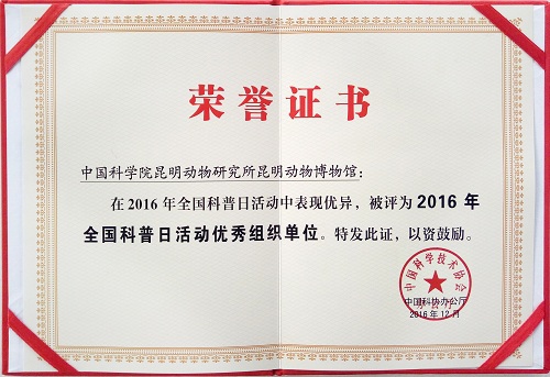 电子游戏app下载安装