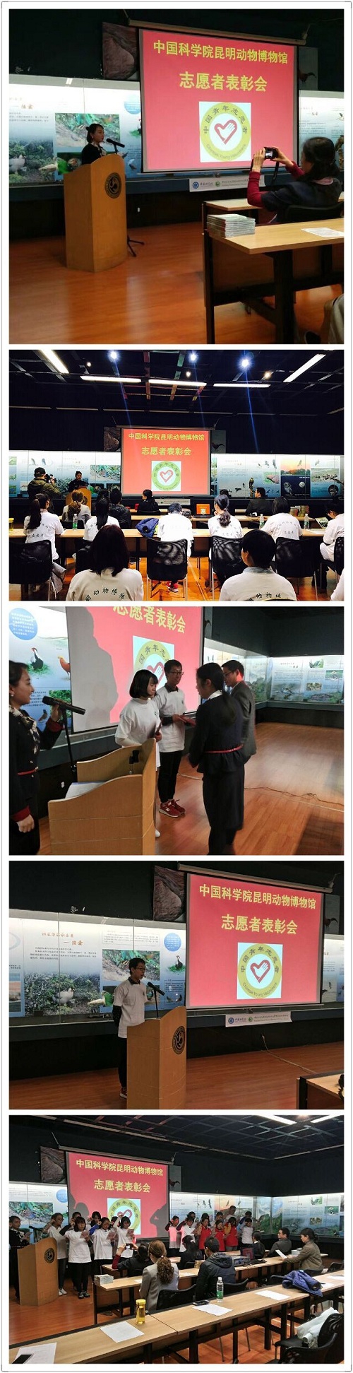 电子游戏app下载安装