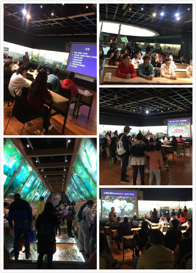 电子游戏app下载安装