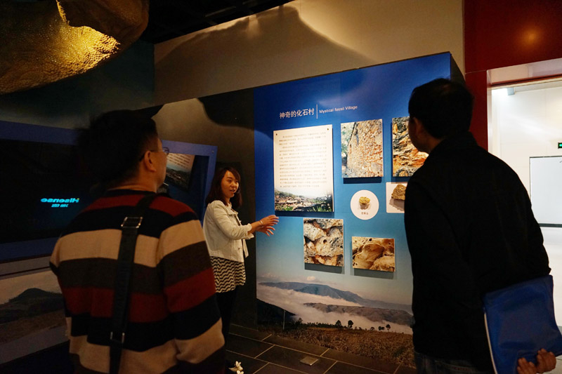 电子游戏app下载安装