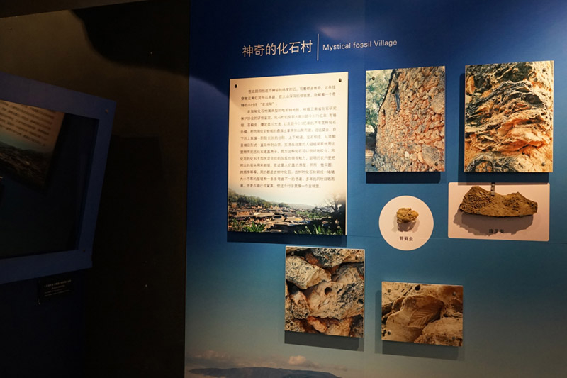 电子游戏app下载安装