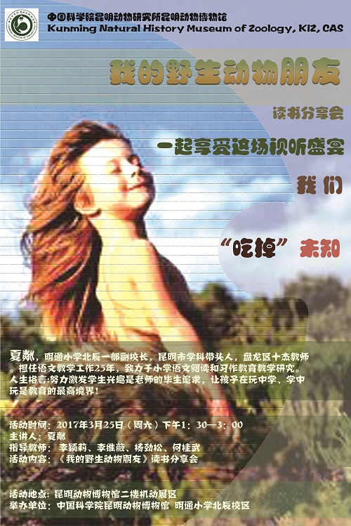 电子游戏app下载安装