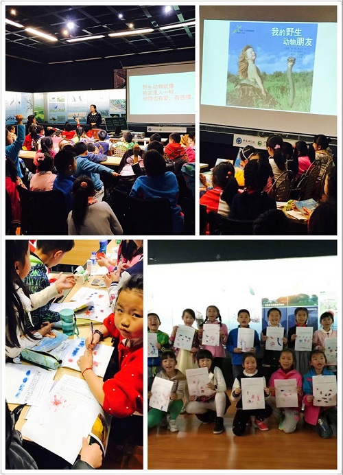 电子游戏app下载安装