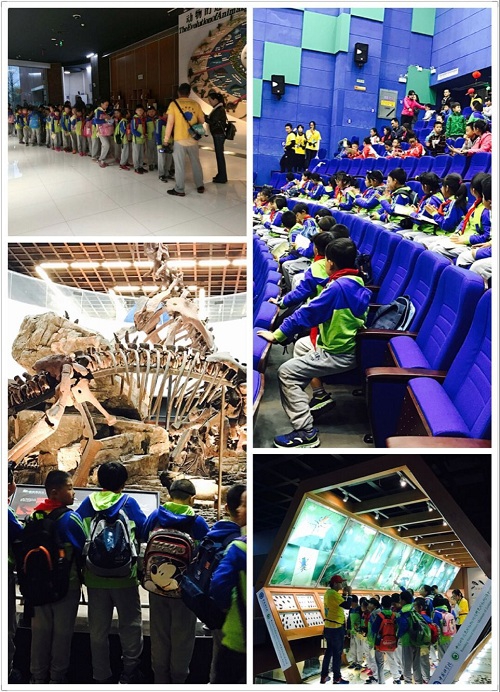 电子游戏app下载安装