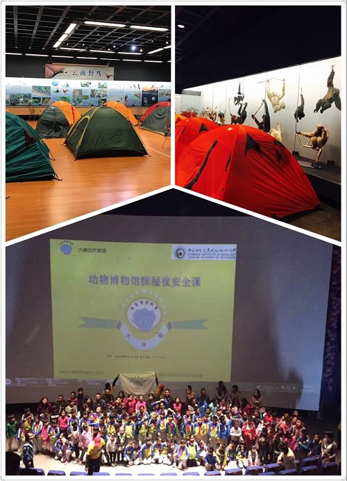 电子游戏app下载安装