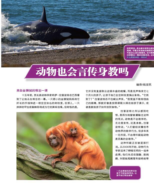 电子游戏app下载安装