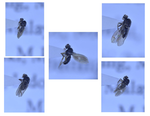 电子游戏app下载安装