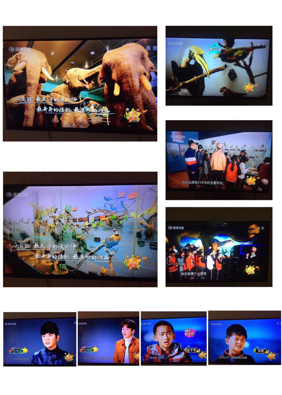 电子游戏app下载安装