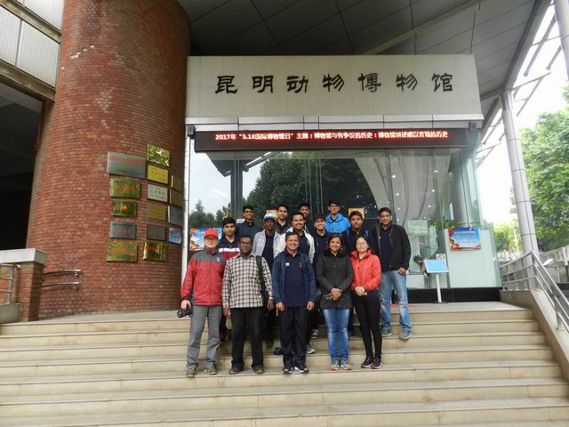 电子游戏app下载安装