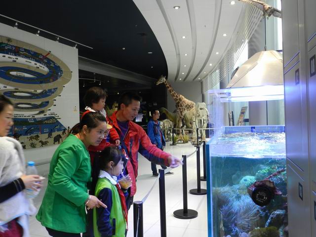 电子游戏app下载安装