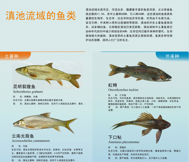 电子游戏app下载安装