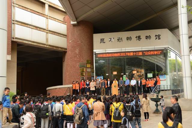 电子游戏app下载安装