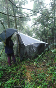 电子游戏app下载安装