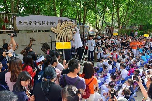 电子游戏app下载安装