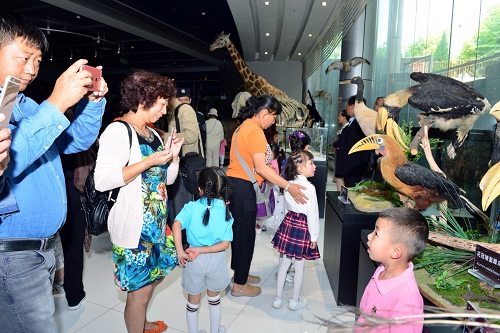 电子游戏app下载安装