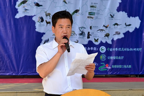 电子游戏app下载安装