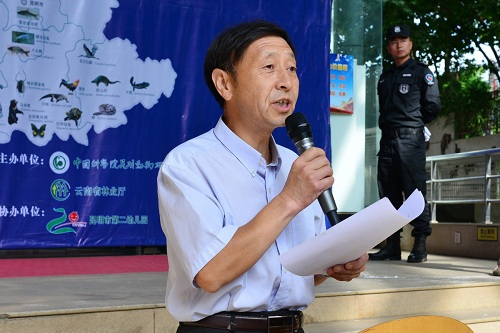 电子游戏app下载安装