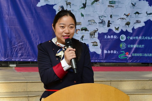 电子游戏app下载安装