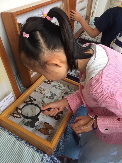 电子游戏app下载安装