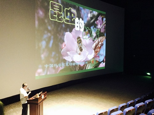 电子游戏app下载安装