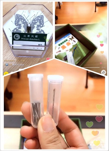 电子游戏app下载安装