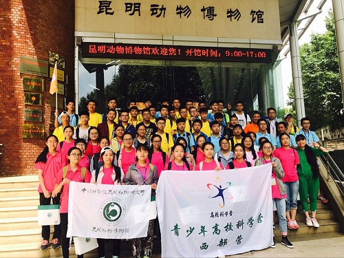 电子游戏app下载安装