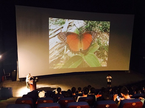 电子游戏app下载安装