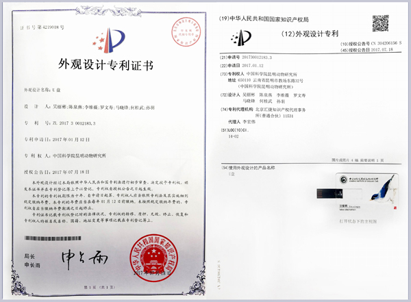 电子游戏app下载安装