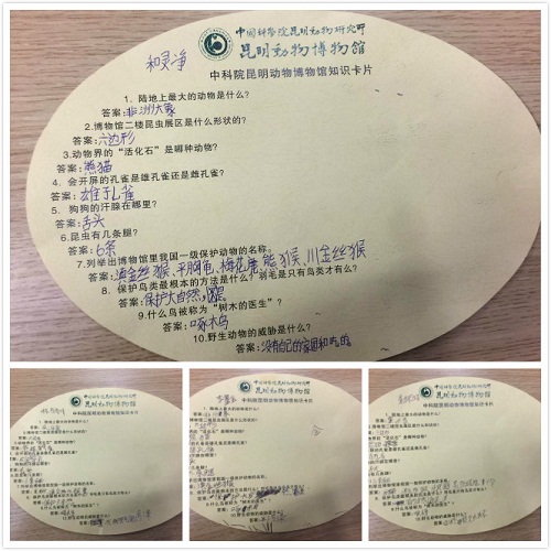 电子游戏app下载安装