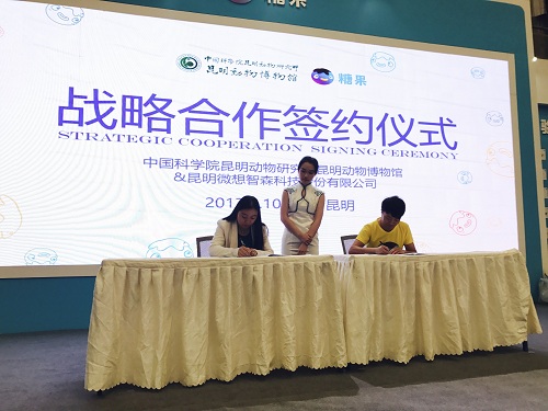 电子游戏app下载安装