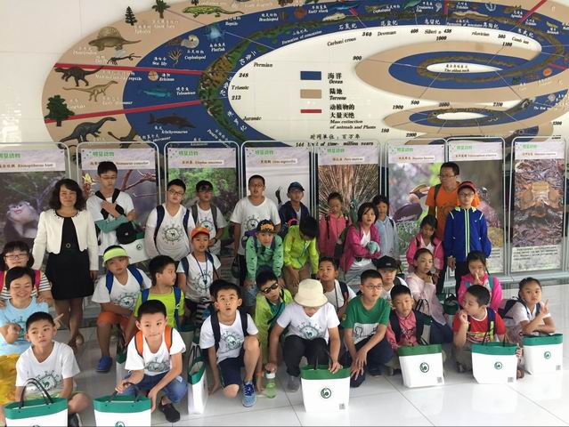 电子游戏app下载安装