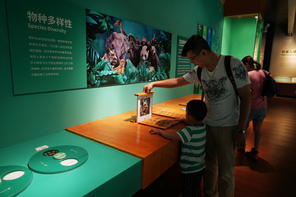 电子游戏app下载安装