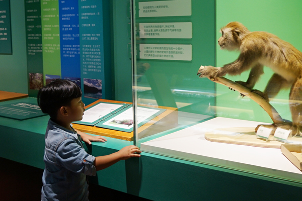 电子游戏app下载安装