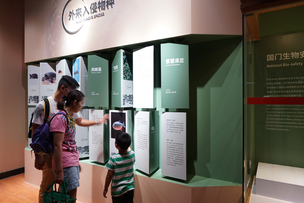 电子游戏app下载安装