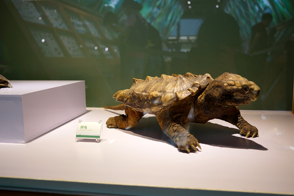 电子游戏app下载安装