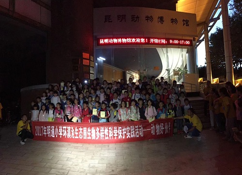 电子游戏app下载安装