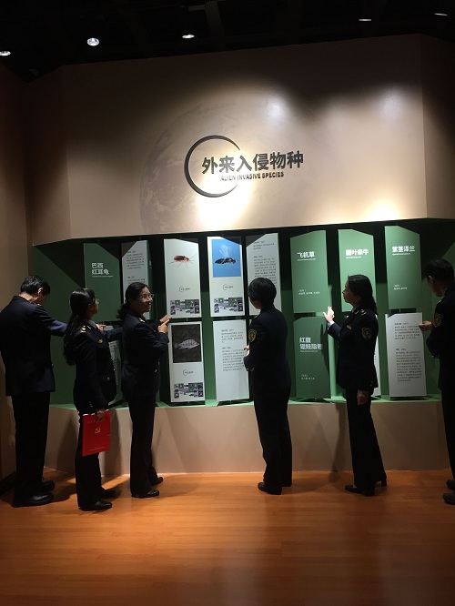 电子游戏app下载安装