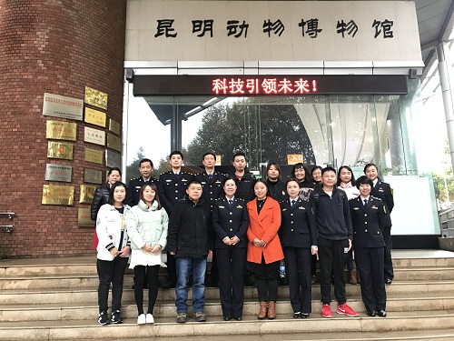 电子游戏app下载安装