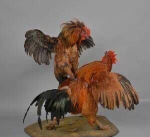 电子游戏app下载安装