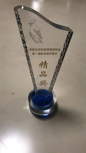 电子游戏app下载安装