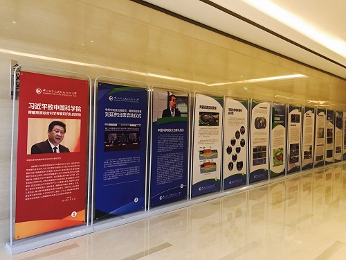 电子游戏app下载安装