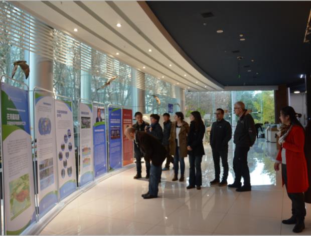 电子游戏app下载安装