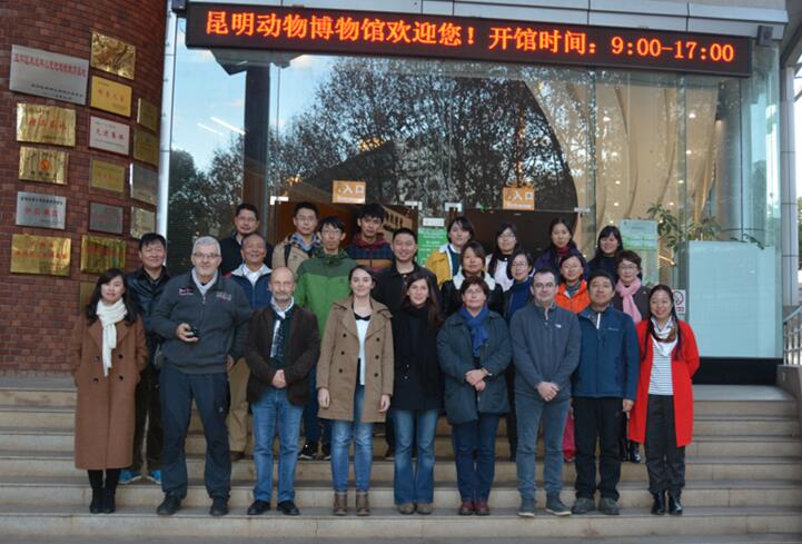 电子游戏app下载安装