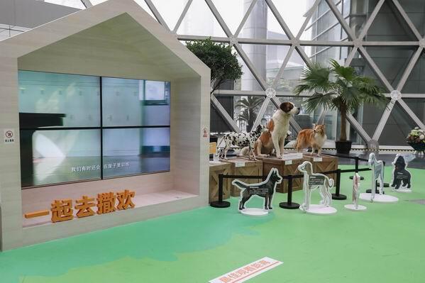 电子游戏app下载安装