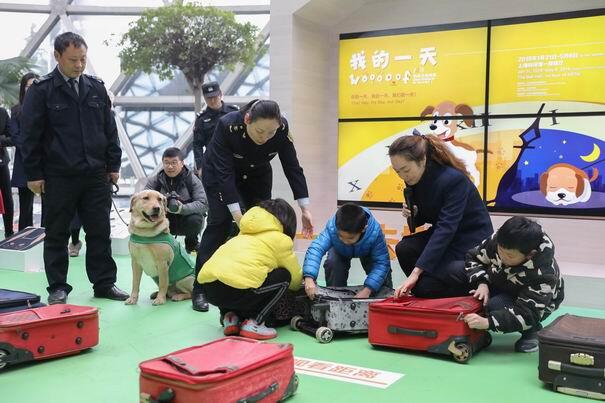 电子游戏app下载安装