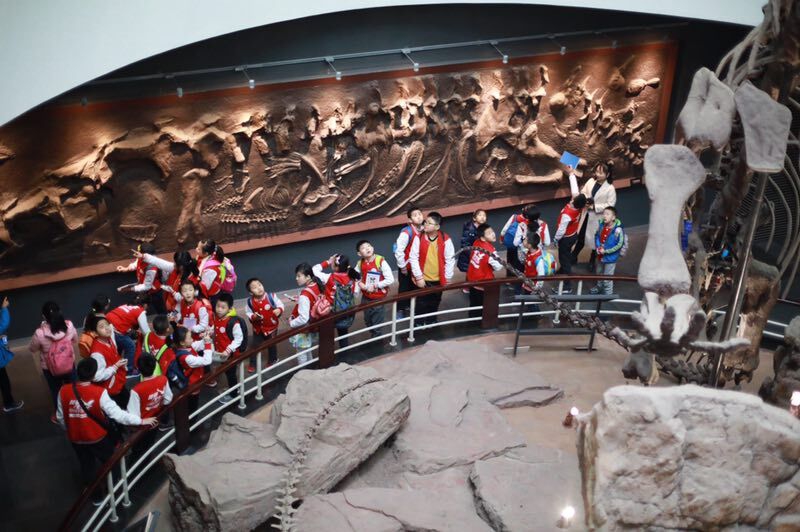 电子游戏app下载安装